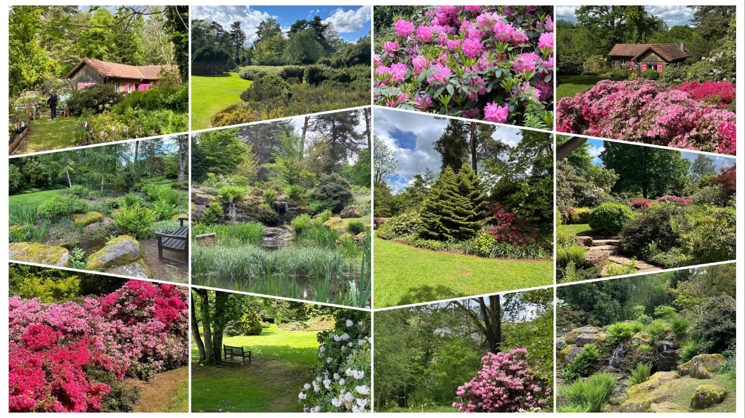Jardin reduit 4